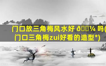 门口放三角梅风水好 🐼 吗(门口三角梅zui
好看的造型*
)